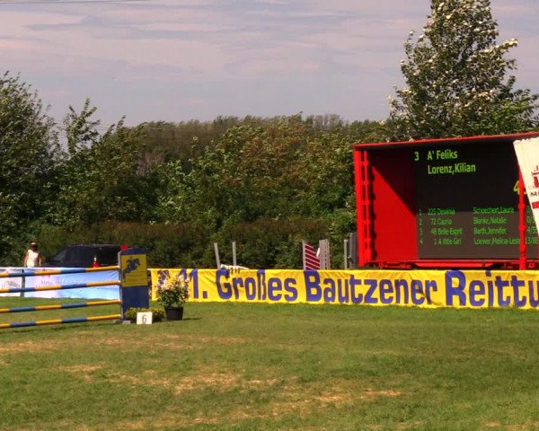 Reitturnier Baschütz bei Bautzen 2017