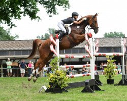 jumper Sasou AJ (Hanoverian, 2012, from Spartacus TN)