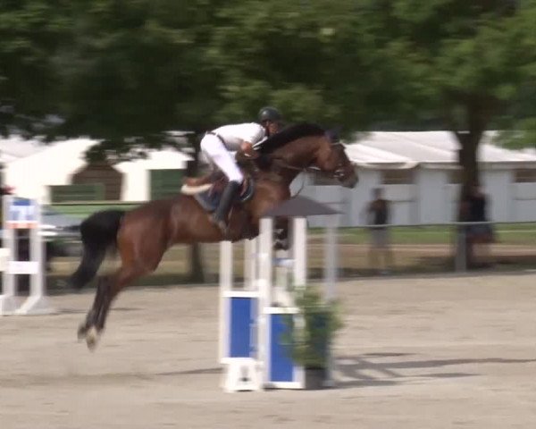 Reitturnier Rot am See- Musdorf 2017