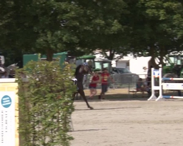 Reitturnier Rot am See- Musdorf 2017