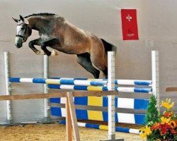 broodmare Rietenberg’s Cornetina (Swiss Warmblood, 2009, from Cornet Obolensky)