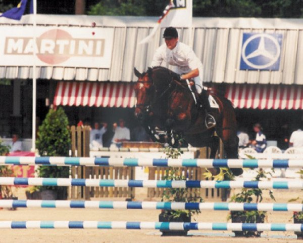 stallion Himmerdor (KWPN (Royal Dutch Sporthorse), 1989, from Nimmerdor)