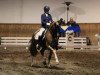 dressage horse Villeneuve 5 (German Riding Pony, 2008, from Valdez HS)