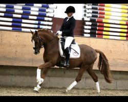 dressage horse Dankeschön's Traum (German Riding Pony, 2014, from Dankeschön)