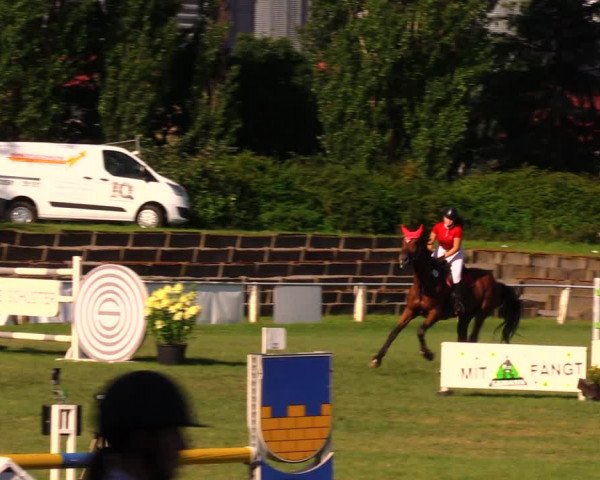 Reitturnier Baschütz bei Bautzen 2017