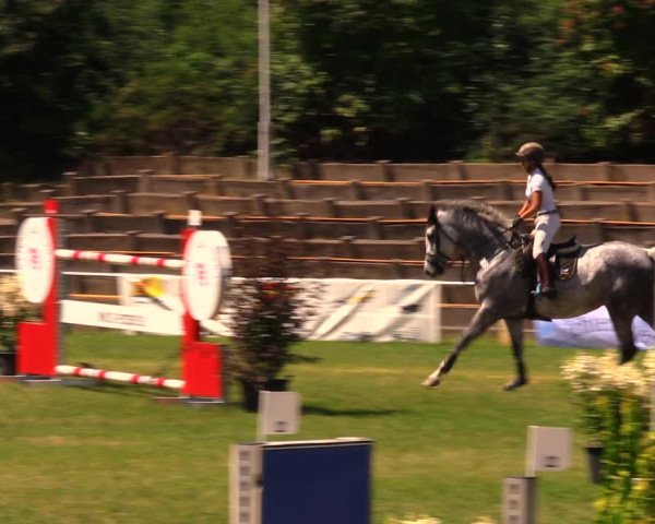 Reitturnier Baschütz bei Bautzen 2017