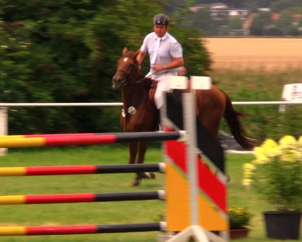 Reitturnier Baschütz bei Bautzen 2017