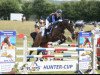 jumper Bella Musica (German Riding Pony, 2004, from Dublin N)