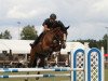 broodmare Narcisse Bs Z (Zangersheide riding horse, 2010, from Nabab de Rêve)