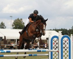 broodmare Narcisse Bs Z (Zangersheide riding horse, 2010, from Nabab de Rêve)