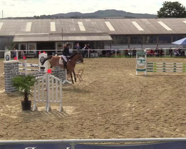 Reitturnier Brilon 2017