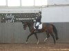 dressage horse Nea's Sunshine (Oldenburg, 2009, from Licotus)