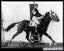 stallion Fandango (FR) (French Trotter, 1949, from Loudeac (FR))