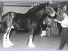 Deckhengst Aspiration 30652 (Clydesdale, 1966, von Bardrill Castle)