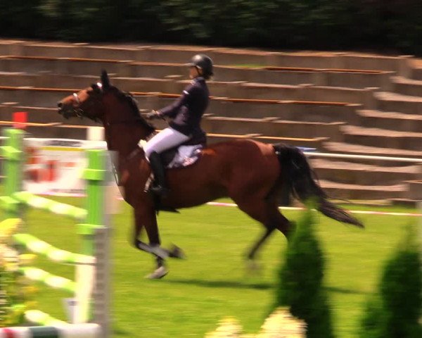 Reitturnier Baschütz bei Bautzen 2017