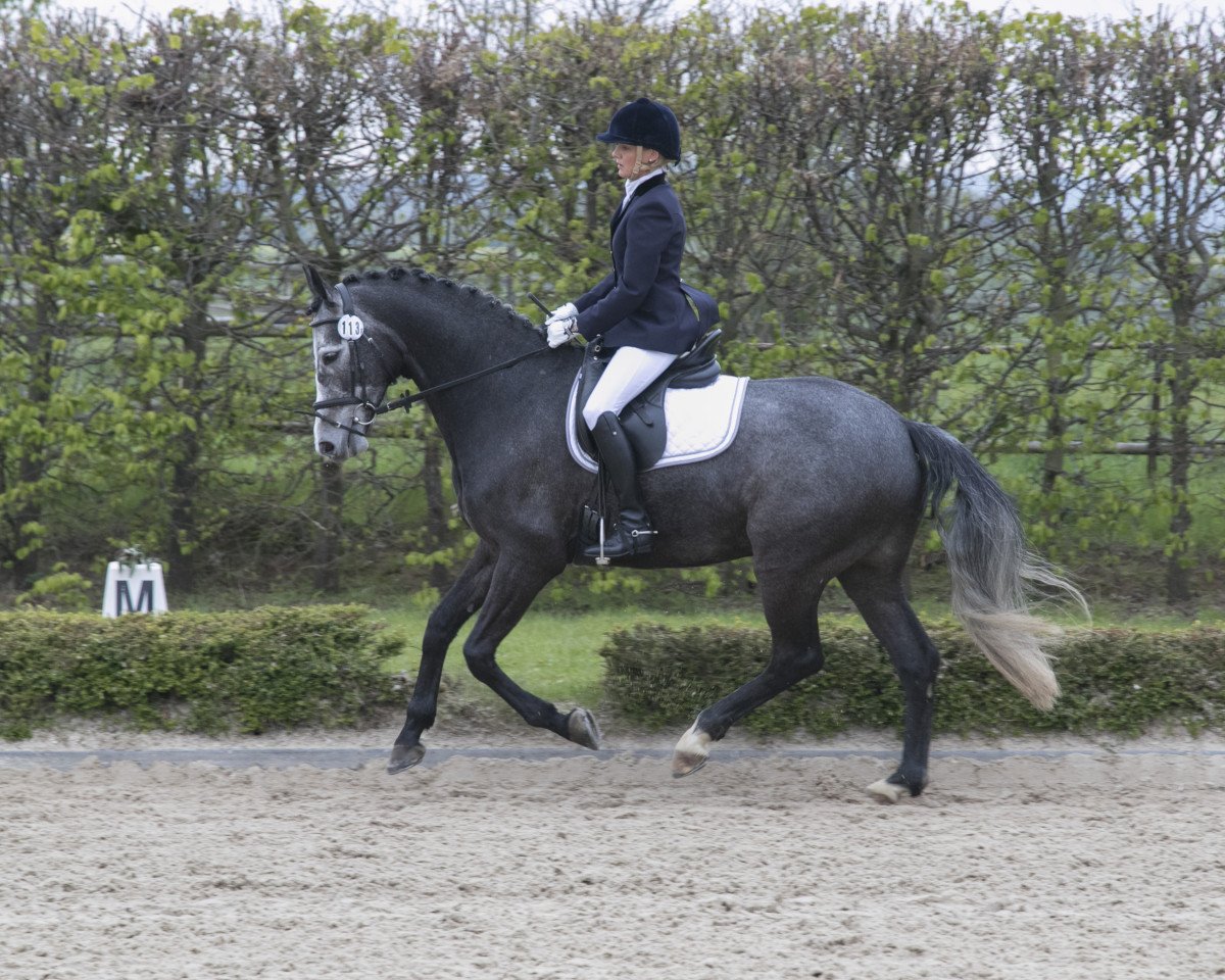 jumper Colin J (Rhinelander, 2011, from Capistrano 2)