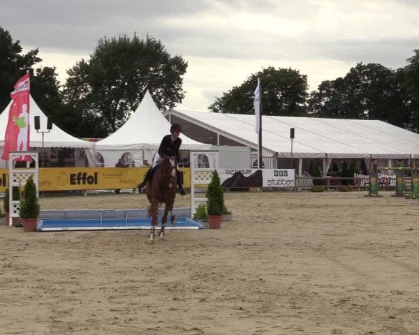Westfalen-Woche 2017