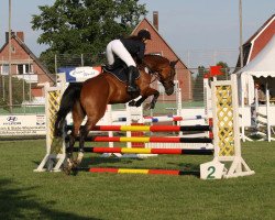 jumper Chelia 3 (Oldenburg show jumper, 2013, from Cellestial)