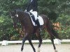 dressage horse Finest Choice 4 (Rhinelander, 2012, from Feedback 16)