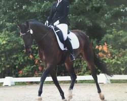 dressage horse Finest Choice 4 (Rhinelander, 2012, from Feedback 16)