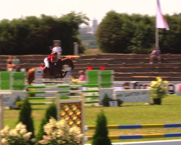 Reitturnier Baschütz bei Bautzen 2017