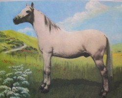 Deckhengst Talata Escrin ox (Vollblutaraber, 1910)
