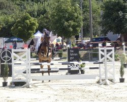 broodmare Stakkezza (Oldenburg show jumper, 2012, from Stakkatol)