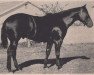Deckhengst Buddy Dexter (Quarter Horse, 1947, von Dexter)