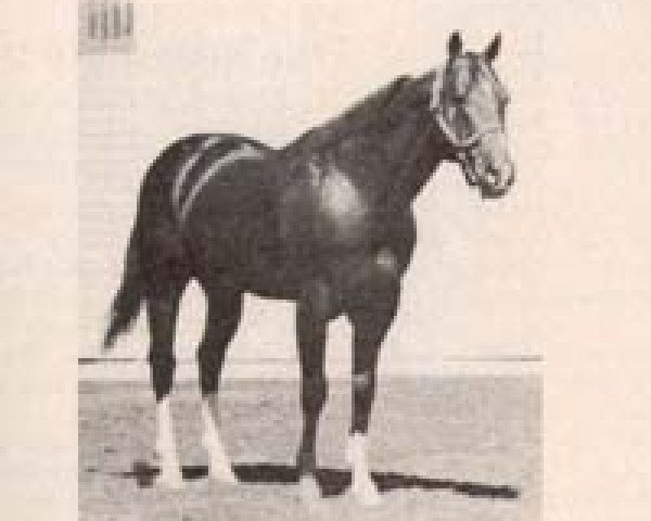 Deckhengst Stagehand (Quarter Horse, 1955, von Skipper W)