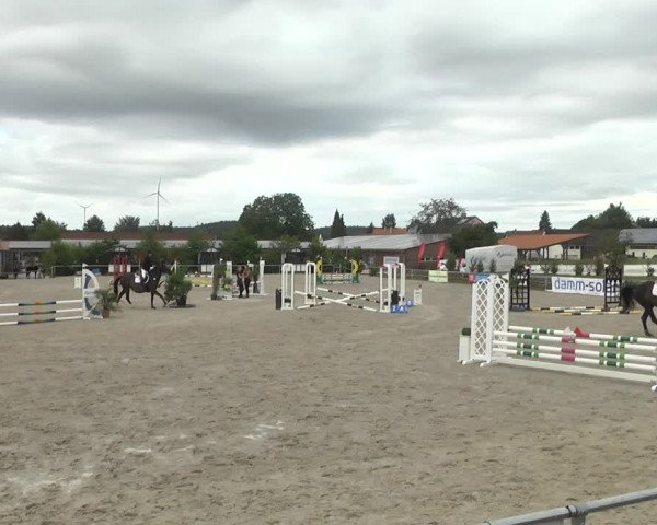 Reitturnier Fröhnerhof 2017