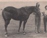 Zuchtstute Barbara Star (Quarter Horse, 1948, von Star Duster)