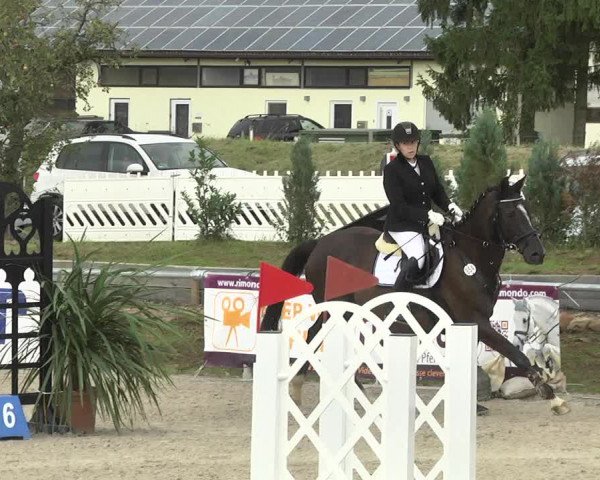 Reitturnier Fröhnerhof 2017