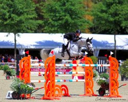 broodmare Isoline van Dorperheide (Belgian Warmblood, 2008, from Winningmood van de Arenberg)