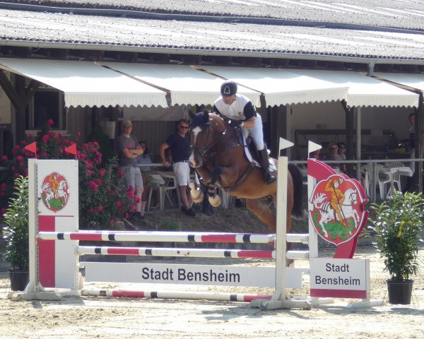 jumper Olympus Fire (Oldenburg, 2011, from Olympic Fire 5)
