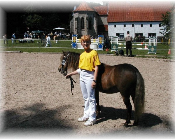 broodmare Lupinchen (Dt.Part-bred Shetland pony, 1999, from Zando)