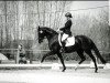 dressage horse Schwarze Rose 4 (Oldenburg, 2010, from Sergio Rossi)