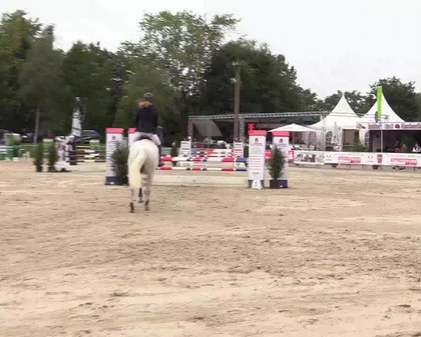 Reitturnier Olfen-Vinnum 2017