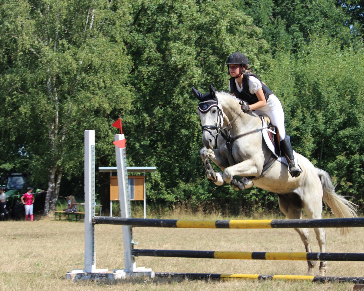 jumper Cornet 42 (Westphalian, 2009, from Call Me Number One)