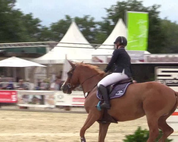 Reitturnier Olfen-Vinnum 2017