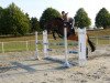 jumper Skato 2 (Hanoverian, 2003, from Stakkato)