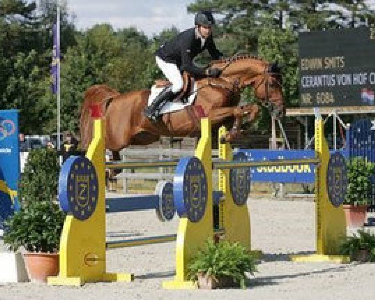 stallion Cerantus Von Hof CH (Swiss Warmblood, 2003, from Cernunnus von Hof)