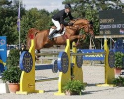 stallion Cerantus Von Hof CH (Swiss Warmblood, 2003, from Cernunnus von Hof)