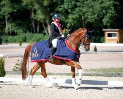 dressage horse Albion 12 (Brandenburg, 2002, from Abanos)