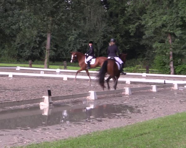 Reitturnier Olfen-Vinnum 2017