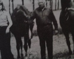 broodmare Aida (Rhinelander, 1960, from Abschaum)