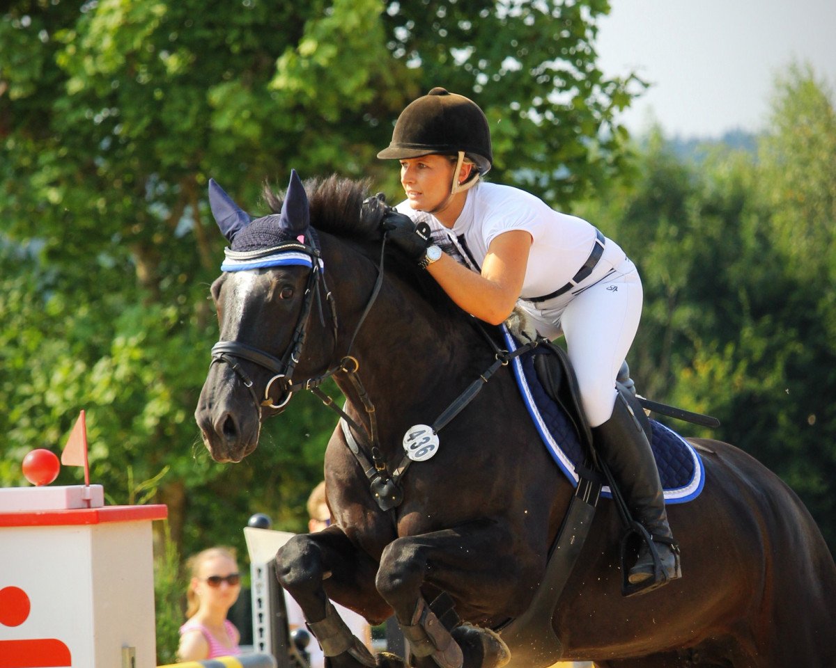 Zuchtstute Etoille 4 (KWPN (Niederländisches Warmblut), 2009, von Wittinger)