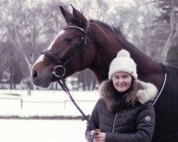 broodmare Neugeschwents Levita (Oldenburg show jumper, 2011, from Levisonn 208 FIN)