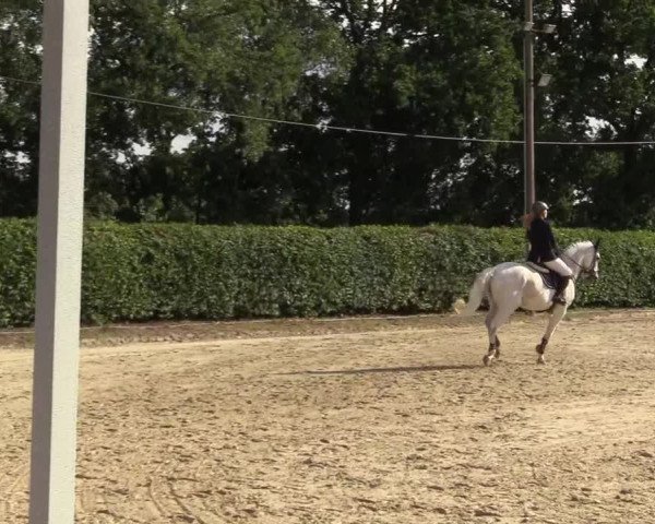 Reitturnier Olfen-Vinnum 2017