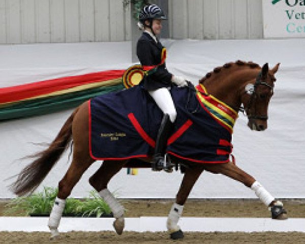 Dressurpferd Le Chiffre (British Riding Pony, 2007, von Caesar)