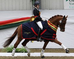 dressage horse Le Chiffre (British Riding Pony, 2007, from Caesar)